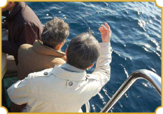 プライベートプラン