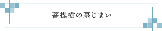 菩提樹の墓じまい